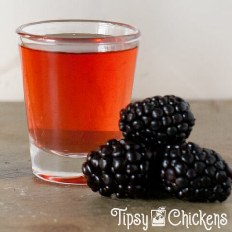 american honey blackberry whiskey in shot glasses with blackberries