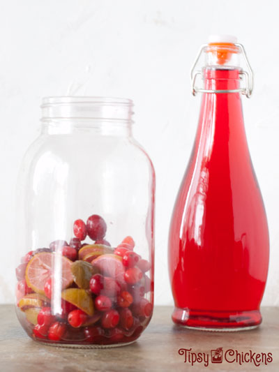 bottle of cranberry and lime infused vodka in a glass bottle with a large mason jar filled with the cranberries and limes used to flavor the vodka