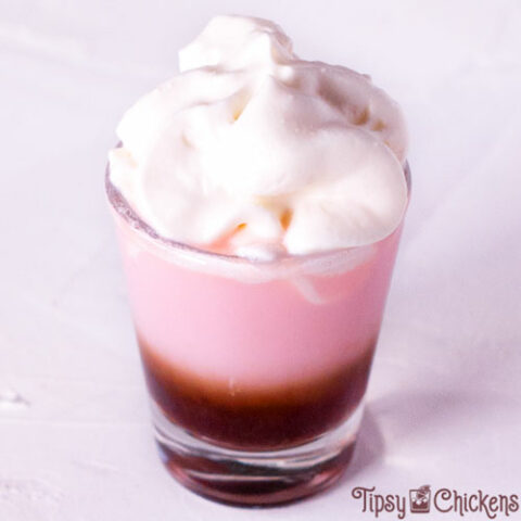 shot glass filled with tequila rose and chocolate liqueur topped with whipped cream