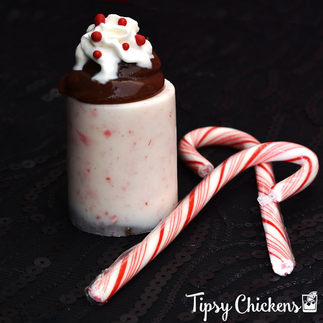 peppermint bark shot glass made with almond bark and crushed candy canes filled with chocolate peppermint pudding topped with whipped cream and red candies